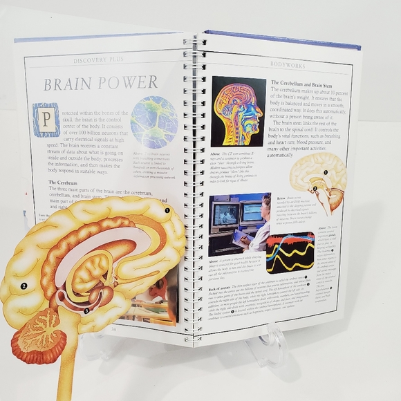 Discovery Bodyworks Interactive Human Body Book NW - Picture 7 of 11